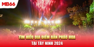 Địa Điểm Bắn Pháo Hoa Tây Ninh 2024 – Mừng Du Khách Đi Cáp Treo