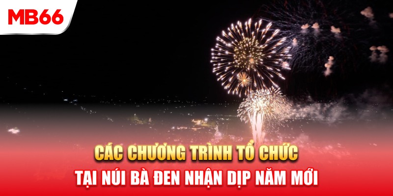 Các chương trình được tổ chức trong sự kiện bắn pháo hoa năm mới tại núi Bà Đen