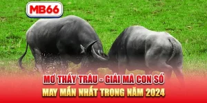 Mơ Thấy Trâu – Giải Mã Con Số May Mắn Nhất Trong Năm 2024