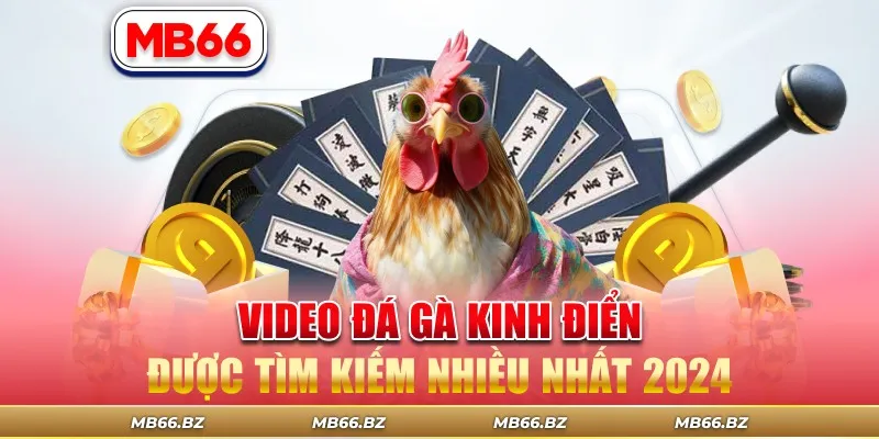 Video Đá Gà Kinh Điển Được Tìm Kiếm Nhiều Nhất 2024