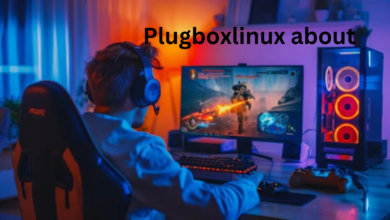 plugboxlinux gaming