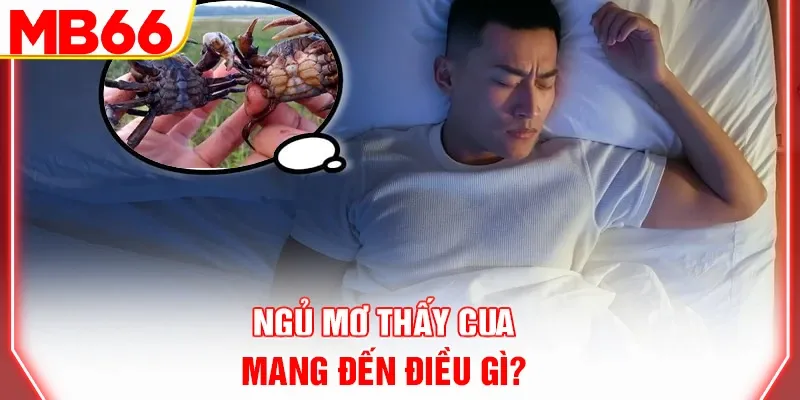 Ngủ mơ thấy cua mang đến điều gì?