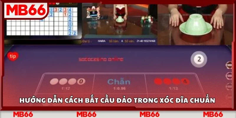 Hướng dẫn cách bắt cầu đảo trong xóc đĩa chuẩn 