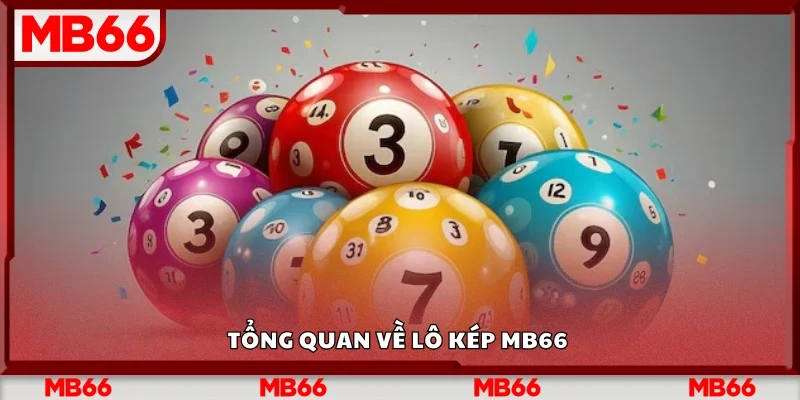 Sơ lược về lô kép Mb66 