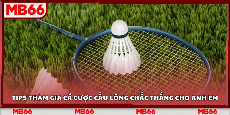 Tips cá cược cầu lông chắc thắng 